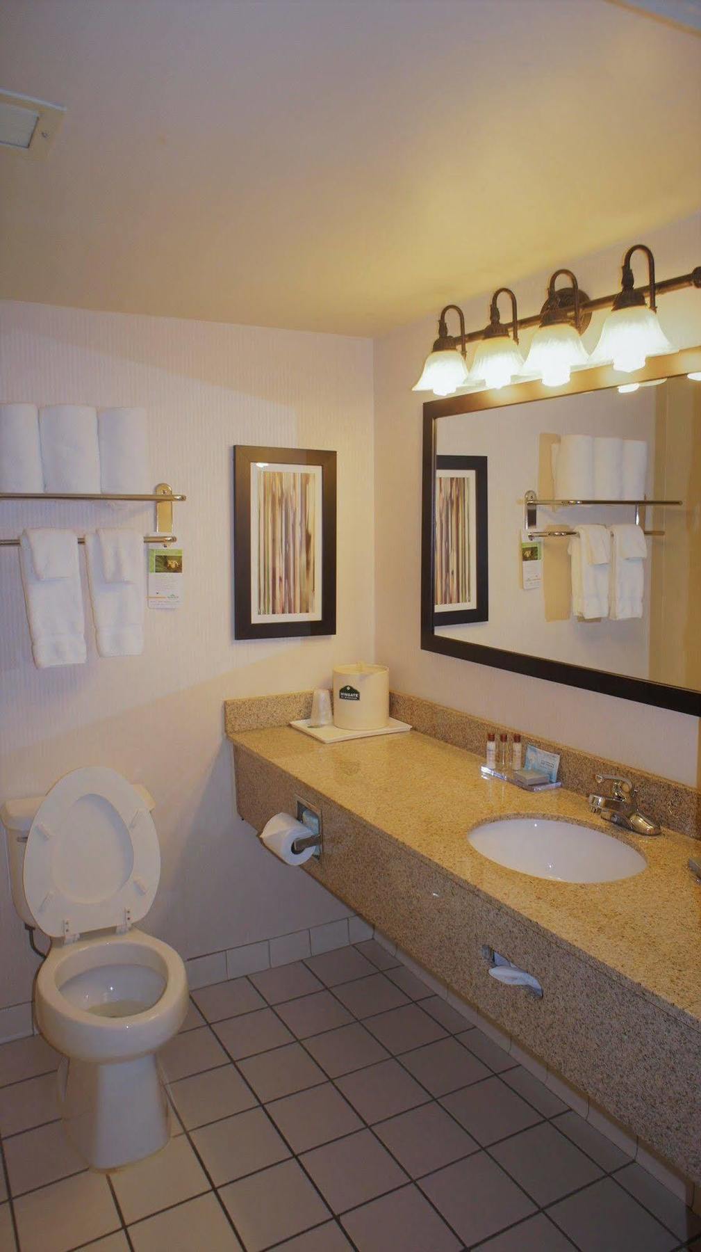 Hotel Wingate By Wyndham - 3*